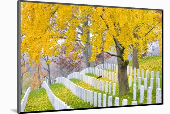 Arlington National Cemetery near to Washington Dc, in Autumn-Orhan-Mounted Photographic Print