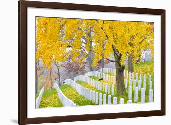 Arlington National Cemetery near to Washington Dc, in Autumn-Orhan-Framed Photographic Print