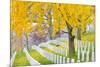 Arlington National Cemetery near to Washington Dc, in Autumn-Orhan-Mounted Photographic Print