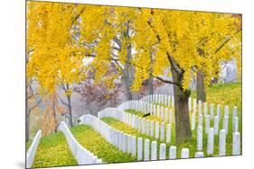 Arlington National Cemetery near to Washington Dc, in Autumn-Orhan-Mounted Photographic Print