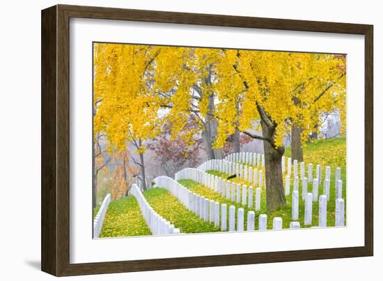 Arlington National Cemetery near to Washington Dc, in Autumn-Orhan-Framed Photographic Print