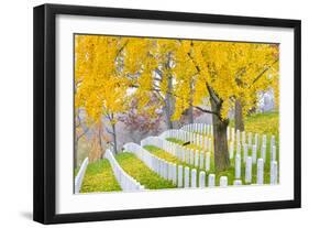 Arlington National Cemetery near to Washington Dc, in Autumn-Orhan-Framed Photographic Print