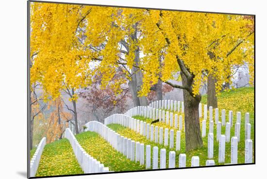 Arlington National Cemetery near to Washington Dc, in Autumn-Orhan-Mounted Photographic Print