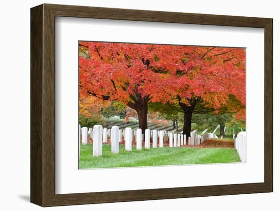 Arlington National Cemetery near to Washington Dc, in Autumn-Orhan-Framed Photographic Print