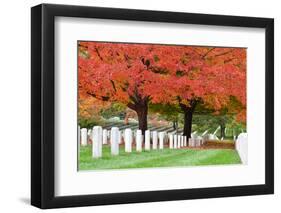 Arlington National Cemetery near to Washington Dc, in Autumn-Orhan-Framed Photographic Print