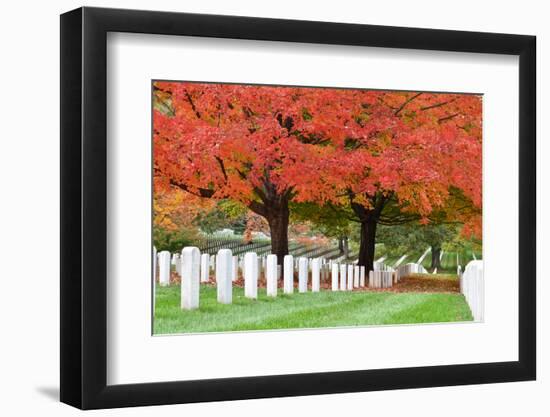 Arlington National Cemetery near to Washington Dc, in Autumn-Orhan-Framed Photographic Print