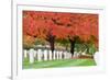 Arlington National Cemetery near to Washington Dc, in Autumn-Orhan-Framed Photographic Print