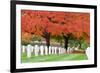 Arlington National Cemetery near to Washington Dc, in Autumn-Orhan-Framed Photographic Print