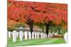 Arlington National Cemetery near to Washington Dc, in Autumn-Orhan-Mounted Photographic Print