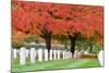Arlington National Cemetery near to Washington Dc, in Autumn-Orhan-Mounted Photographic Print