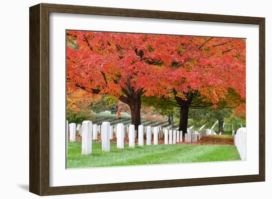 Arlington National Cemetery near to Washington Dc, in Autumn-Orhan-Framed Photographic Print