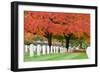 Arlington National Cemetery near to Washington Dc, in Autumn-Orhan-Framed Photographic Print