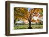 Arlington National Cemetery near to Washington Dc, in Autumn-Orhan-Framed Photographic Print