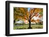 Arlington National Cemetery near to Washington Dc, in Autumn-Orhan-Framed Photographic Print