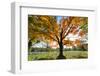 Arlington National Cemetery near to Washington Dc, in Autumn-Orhan-Framed Photographic Print