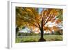 Arlington National Cemetery near to Washington Dc, in Autumn-Orhan-Framed Photographic Print