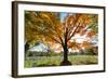 Arlington National Cemetery near to Washington Dc, in Autumn-Orhan-Framed Photographic Print