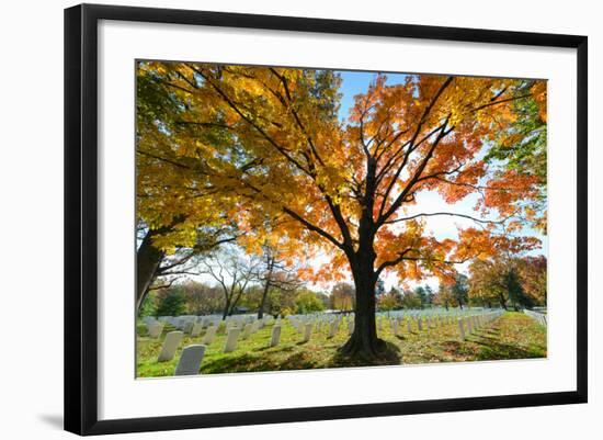 Arlington National Cemetery near to Washington Dc, in Autumn-Orhan-Framed Photographic Print