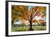 Arlington National Cemetery near to Washington Dc, in Autumn-Orhan-Framed Photographic Print