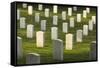 Arlington National Cemetery, Virginia, Usa.-Jon Hicks-Framed Stretched Canvas