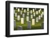 Arlington National Cemetery, Virginia, Usa.-Jon Hicks-Framed Photographic Print