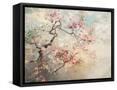 Framed Canvas