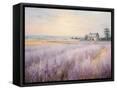Framed Canvas