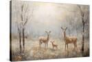 Stretched Canvas