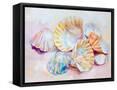 Framed Canvas