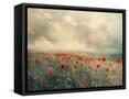Framed Canvas