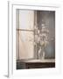 Gramercy White