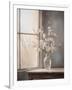 Gramercy White