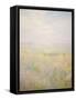 Framed Canvas