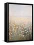 Framed Canvas