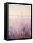 Framed Canvas