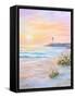 Framed Canvas