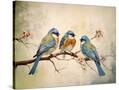 Stretched Canvas