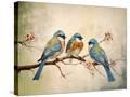 Stretched Canvas