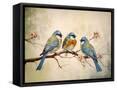 Framed Canvas