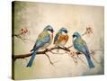 Stretched Canvas