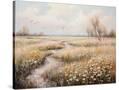 Stretched Canvas