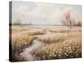 Stretched Canvas