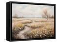 Framed Canvas
