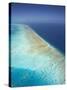 Arlington Reef, Great Barrier Reef Marine Park, North Queensland, Australia-David Wall-Stretched Canvas