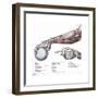 Arm, Anatomy, Salvage Illustration, 1812-Science Source-Framed Giclee Print