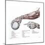 Arm, Anatomy, Salvage Illustration, 1812-Science Source-Mounted Giclee Print