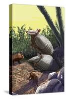 Armadillo Family-Lantern Press-Stretched Canvas