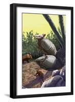 Armadillo Family-Lantern Press-Framed Art Print