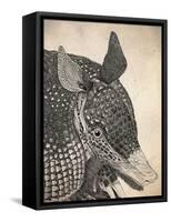 Armadillo-null-Framed Stretched Canvas