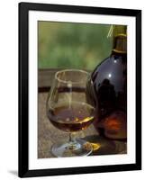 Armagnac is Made From White Grapes, Aquitania, France-Michele Molinari-Framed Photographic Print